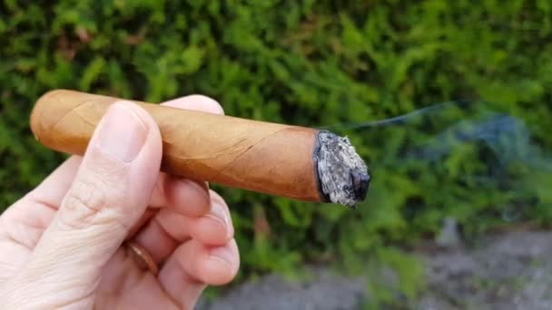 Una Mano Masculina Sosteniendo Cigarro Cubano Llamas — Vídeos de Stock