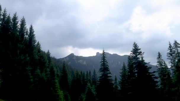 Indah Pemandangan Pegunungan Dan Pohon Pohon — Stok Video