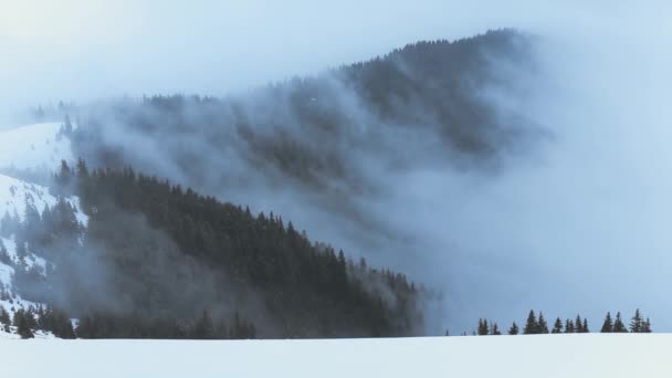 Zimowe Tło Krajobraz Lasu Śnieżnego Mgłą Chmurami — Wideo stockowe