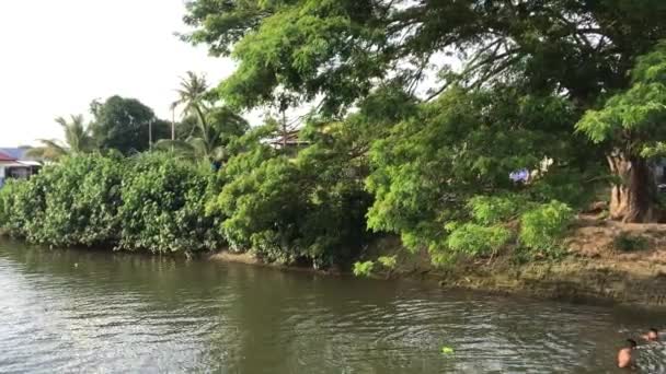 Schöne Aussicht Auf Den Fluss Park — Stockvideo