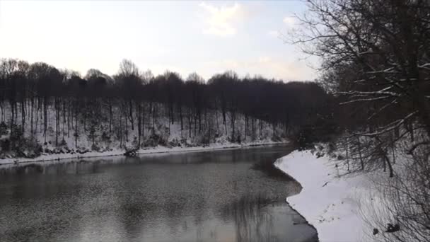 Winter Landscape River Forest Nature Background Reflected Snow — ストック動画