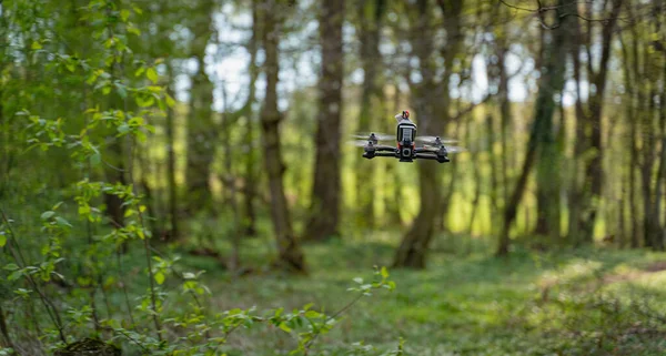 Drone Voando Entre Árvores Verdes Uma Floresta — Fotografia de Stock