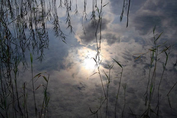 Ein Schöner Blick Auf Gräser Mit Wolken Die Sich Auf — Stockfoto