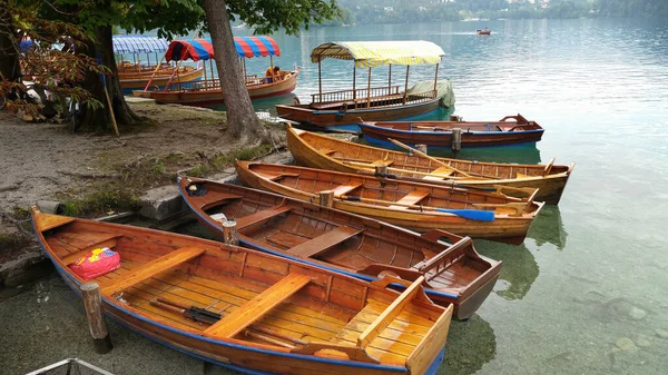 Bled Slovenia Mar 2017 Wooden Boats Pletna Anchored Beach Iconic — 图库照片
