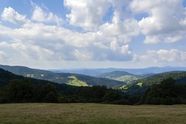 Uma Bela Vista Grama Marrom Com Árvores Fundo Encosta Sob — Fotografia de Stock