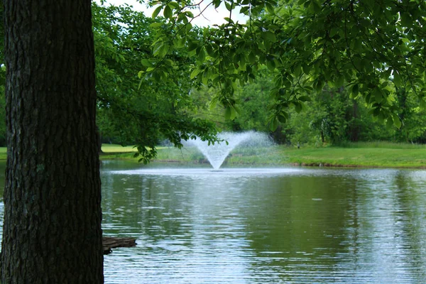 Ein See Mit Springbrunnen Grünen Park Mit Bäumen — Stockfoto