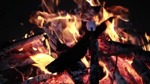 Flammes Feu Sur Fond Noir — Video