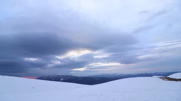 Ett Vackert Vinterlandskap Med Snöig Skog Bakgrunden — Stockvideo