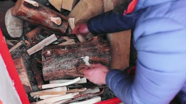Yakacak Odun Kesen Birinin Görüntüsü — Stok video