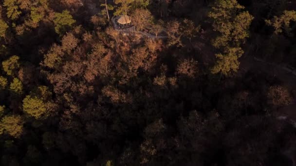 Een Antenne Uitzicht Een Houten Zomerhuis Het Midden Van Een — Stockvideo