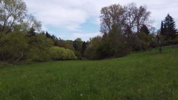 Uitzicht Het Prachtige Landschap Overdag — Stockvideo