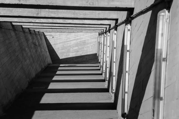 Grayscale Shot Concrete Hallway — Stock Photo, Image