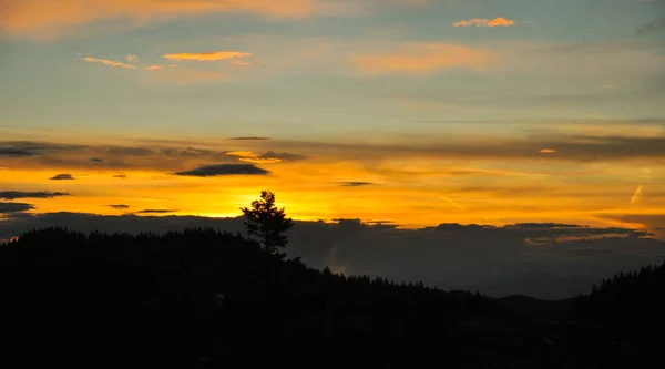 Uma Bela Paisagem Montanha Com Uma Silhueta Pinheiro Pôr Sol — Fotografia de Stock