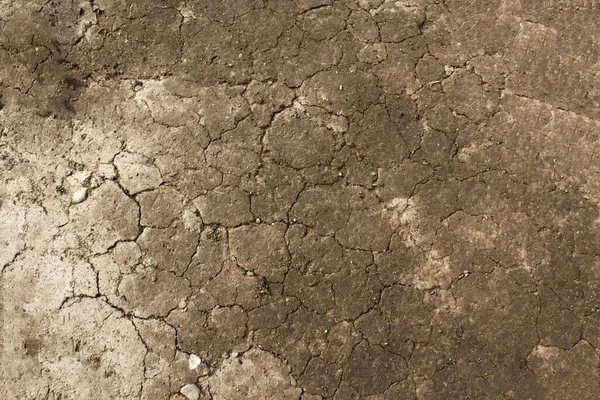 Primer Plano Una Gran Piedra — Foto de Stock