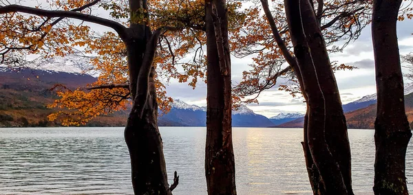 Una Hermosa Vista Lago Con Montañas Nevadas Fondo Árboles Primer —  Fotos de Stock