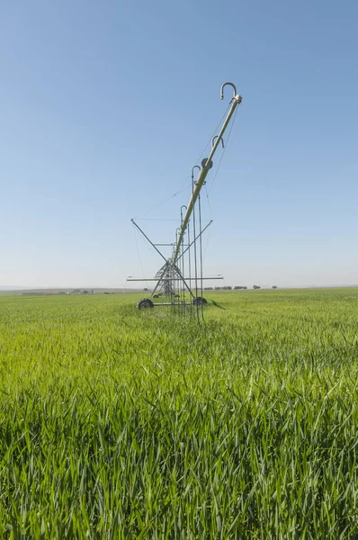 Disparo Vertical Del Sistema Riego Sobre Ruedas Campo Verde Fresco —  Fotos de Stock