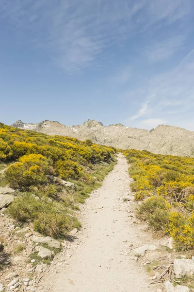 Plano Vertical Carretera Desierta Hacia Las Montañas España — Foto de Stock