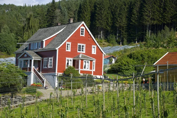 Maison Bois Scandinave Rouge Classique Norvège Près Herald — Photo
