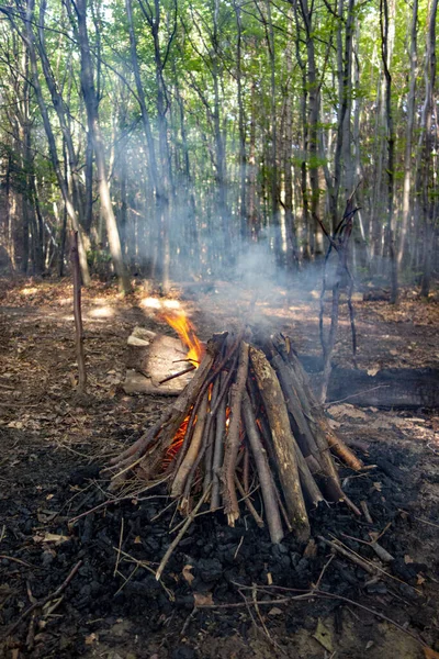 Een Verticaal Schot Van Vreugdevuur Het Bos — Stockfoto