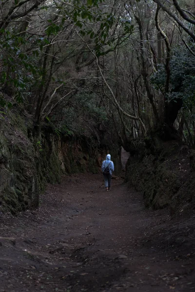 Plano Vertical Una Persona Caminando Por Sendero Misterioso Bosque —  Fotos de Stock