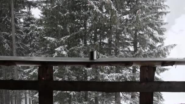 4Kの松林の背景に降る雪の結晶と木製のバルコニーでコーヒーのマグカップ — ストック動画