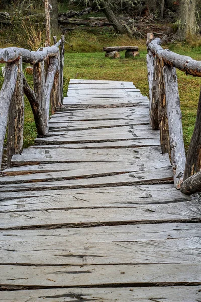 Plan Vertical Vieux Pont Bois Dans Une Forêt — Photo