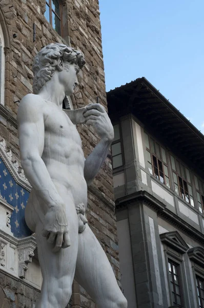 Vertikal Bild Staty David Michelangelo Piazza Signoria Florens Italien — Stockfoto