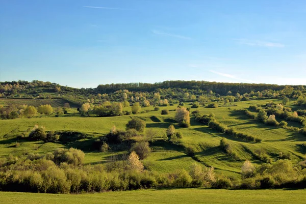 Scenic View Lush Green Valleys Trees Blue Sky Background — Φωτογραφία Αρχείου