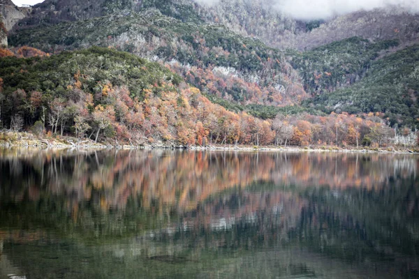 环绕着五彩斑斓的森林树木的湖景 — 图库照片