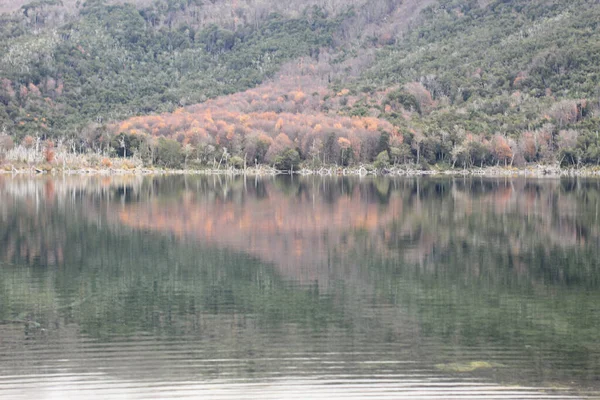 环绕着五彩斑斓的森林树木的湖景 — 图库照片