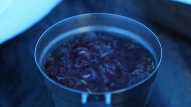 Une Séquence Tisane Bouillante Dans Pot — Video