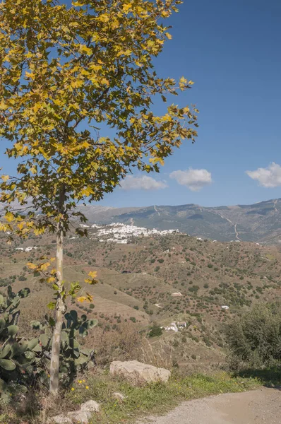 Piękny Widok Białą Wioskę Otaczającą Wieś Axarquia Malaga Hiszpania — Zdjęcie stockowe
