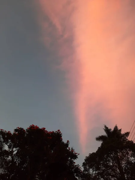 雲と太陽の美しい色のスカイラインの垂直ショット — ストック写真
