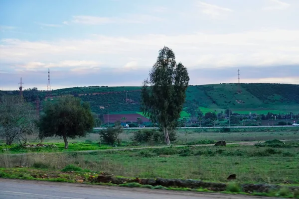 Trees Green Meadow Highway Background Cloudy Sky — Φωτογραφία Αρχείου