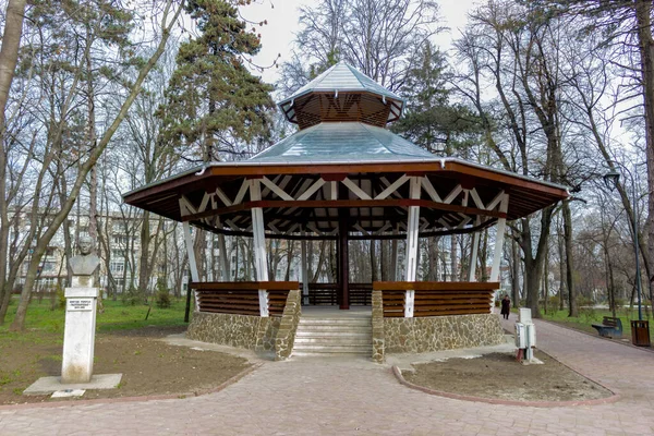 Uma Alcova Madeira Parque Dia Sombrio — Fotografia de Stock