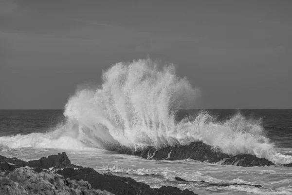 Grayscale Záběr Majestátní Oceánské Vlny Narážející — Stock fotografie