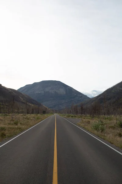 Long Asphalt Road Surrounded Mountains Covered Greens — Stock Photo, Image