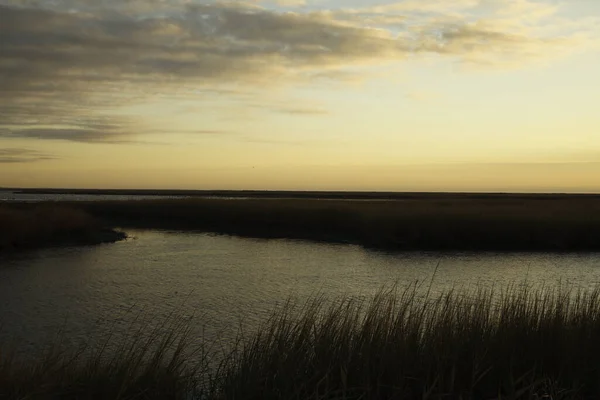 Sunrise Bombay Hook Wildlife Refuge — Stock fotografie