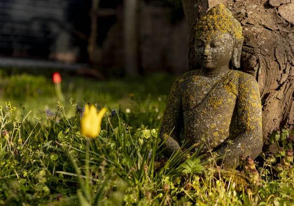 Мох Заросший Буддийской Статуей Сидящей Траве Фоне Дерева Ярко Выраженным — стоковое фото