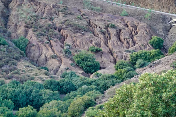 Красиві Дерева Зеленню Скелястій Долині — стокове фото