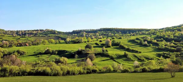 Eine Panoramische Aufnahme Einer Frühlingslandschaft Mit Bäumen Auf Einem Hügel — Stockfoto