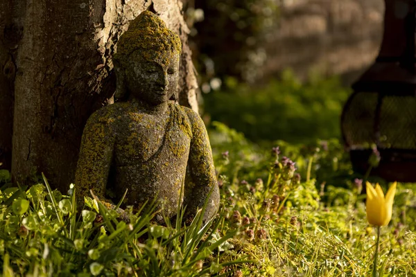 Статуя Будды Заросла Мхом Сидящим Садовой Траве Напротив Дерева Ярко — стоковое фото