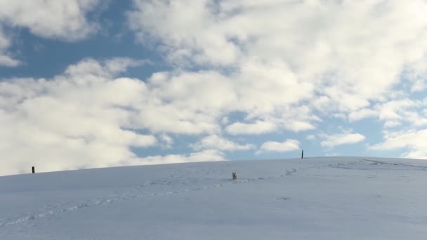 Montañas Cubiertas Nieve Invierno — Vídeos de Stock