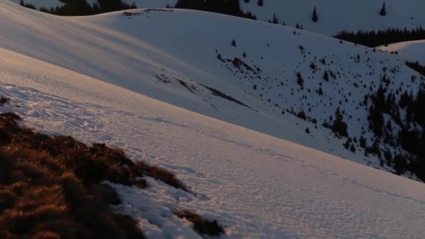 Hermoso Paisaje Invierno Con Nieve — Vídeo de stock