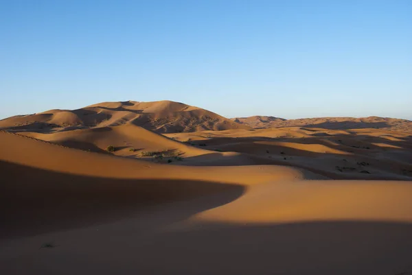 Una Pintoresca Vista Las Dunas Arena Amanecer Merzouga Desierto Del —  Fotos de Stock