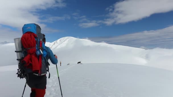 Ένα Πλάνο Ενός Πεζοπόρου Που Περπατά Μόνος Ένα Χιονισμένο Βουνό — Αρχείο Βίντεο