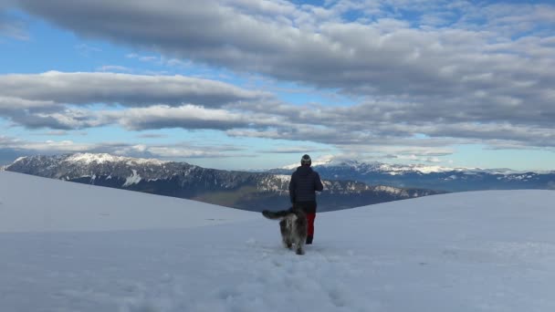 Male Hiker Facing Mesmerizing Mountain View While Funny Dogs Playing — ストック動画