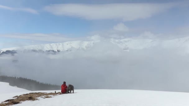 Hiker Resting Ground His Dog Facing Idyllic Snowy Mountainscape Foggy — Wideo stockowe