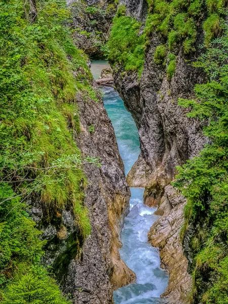 Живописный Вид Скалы Ущелья Лейташ Покрытые Зеленой Листвой — стоковое фото