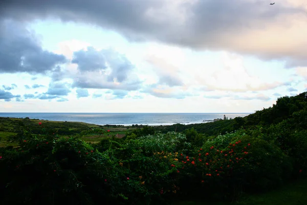 Het Prachtige Landschap Van Bomen Oceaan Tegen Bewolkte Lucht — Stockfoto